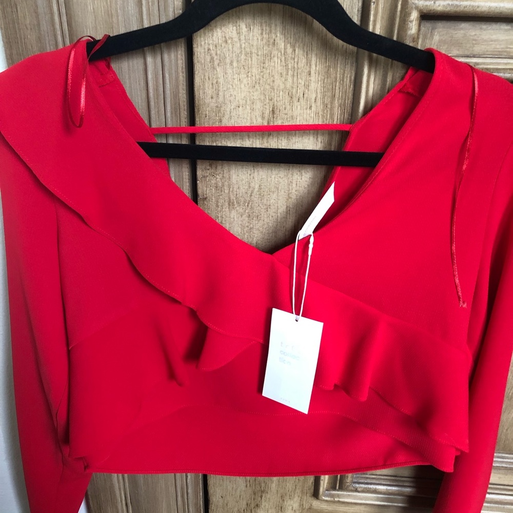 Zara crop top